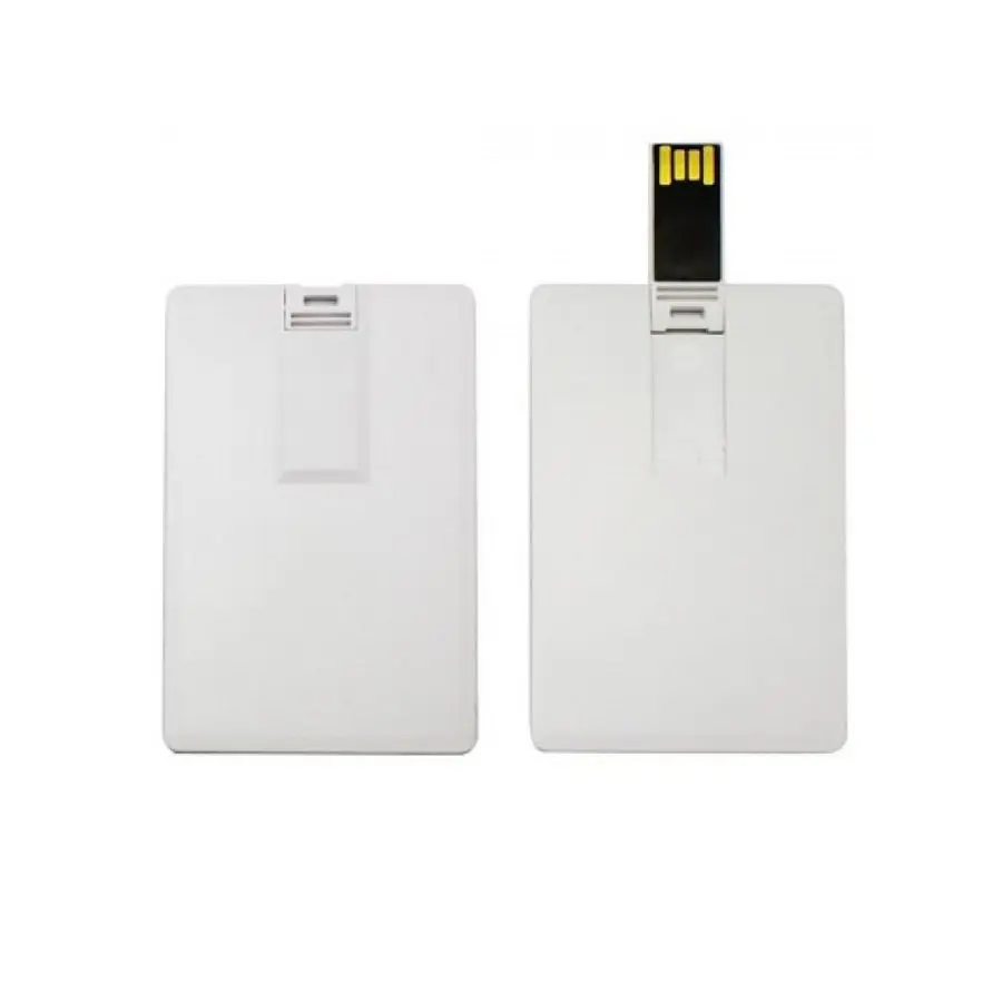 Pen Drive Tarjeta 2GB
