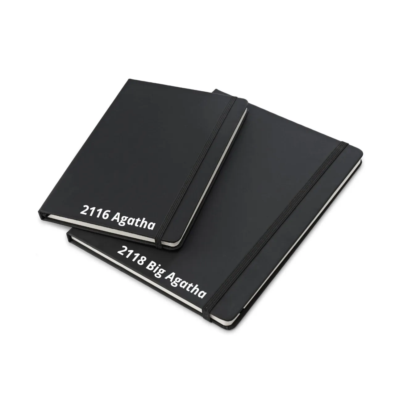 Cuaderno BIG AGATHA 2118